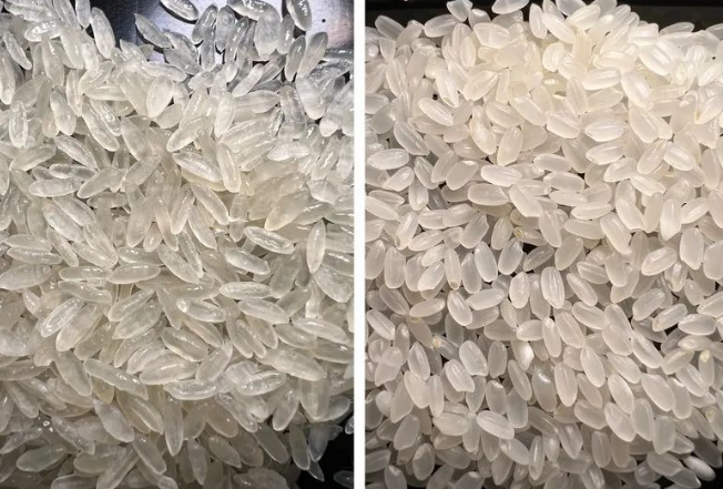 jk2022091603.jpg jk2022091603.jpg