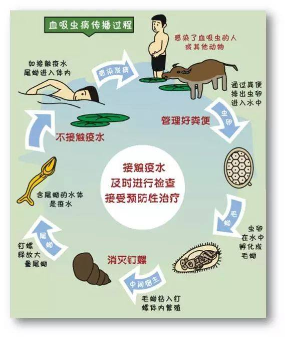 jk2023112101.png jk2023112101.png