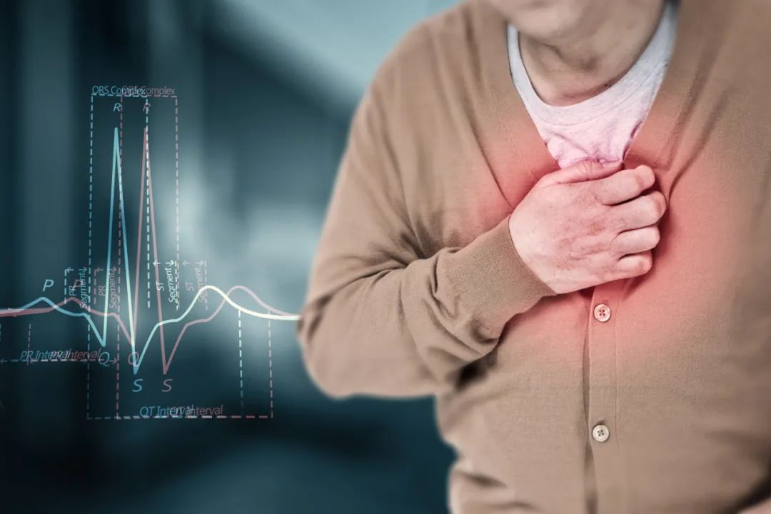 jk2024013102.jpg jk2024013102.jpg