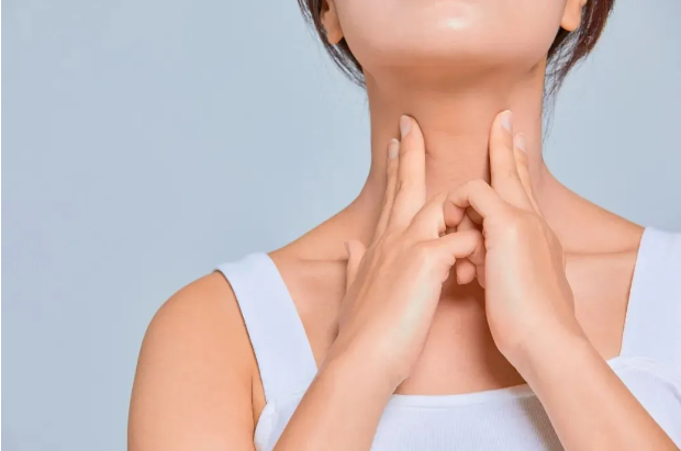 jk2024032809.png jk2024032809.png