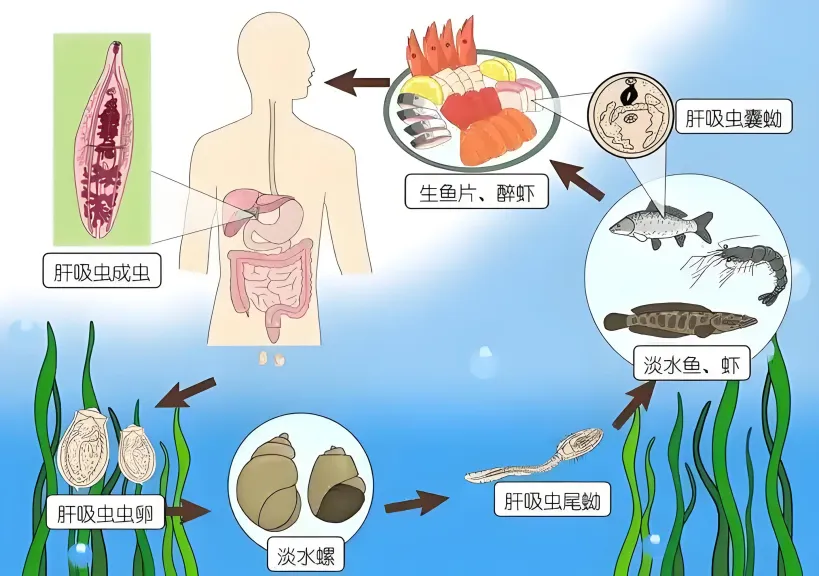 jk2025060401.png jk2025060401.png