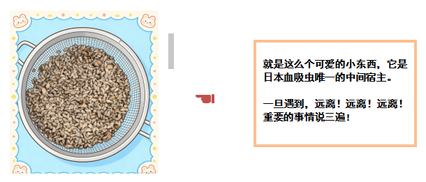 jk2026032305.png