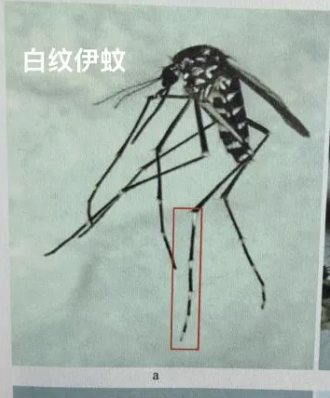 jk2026041004.png